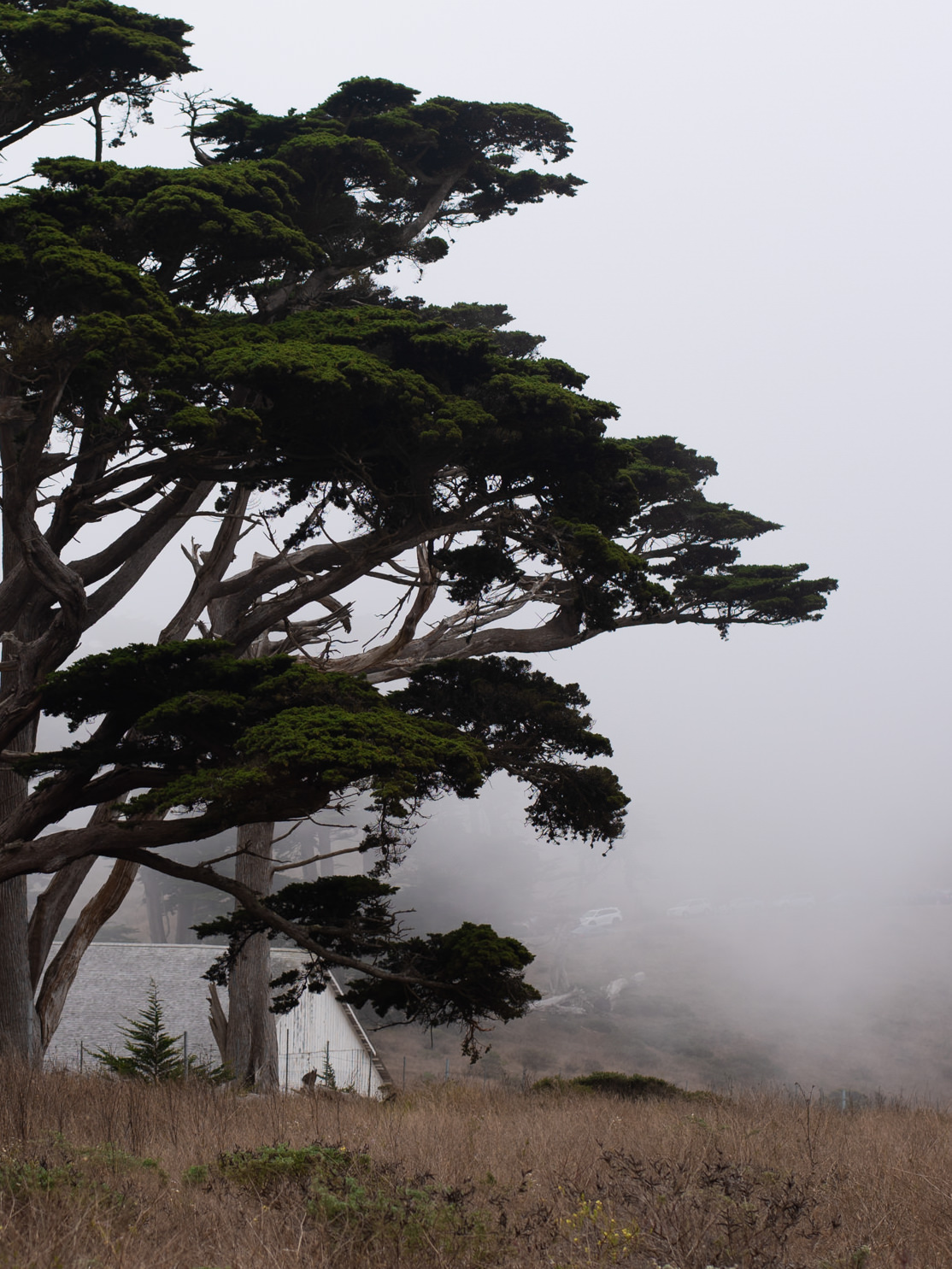 point reyes california