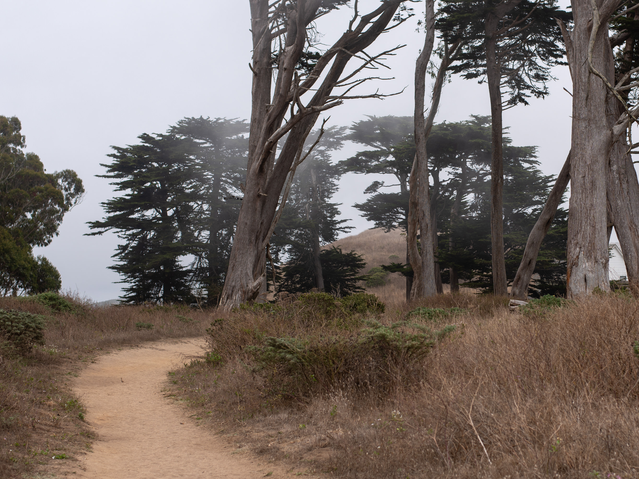 point reyes california