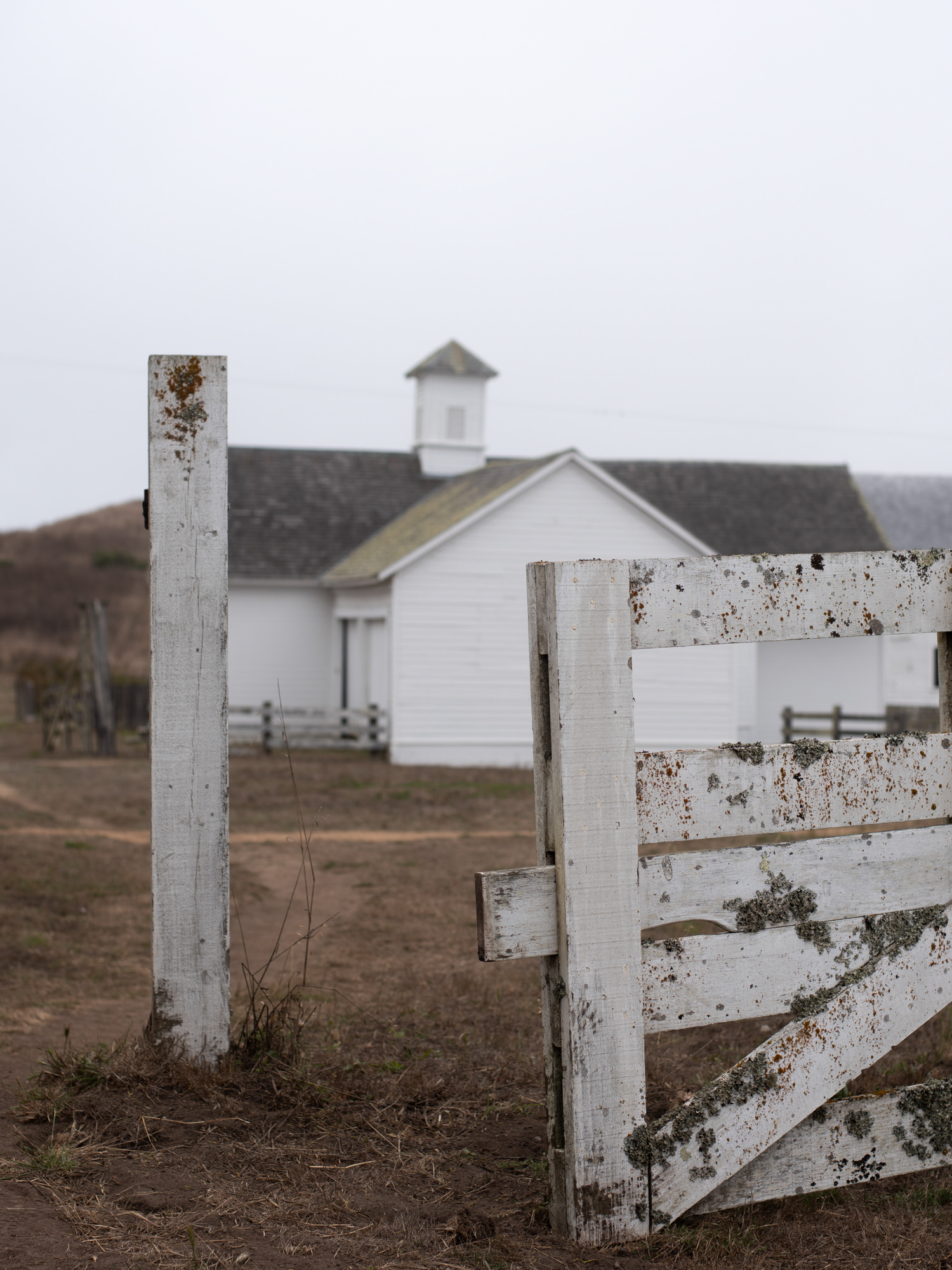 point reyes california