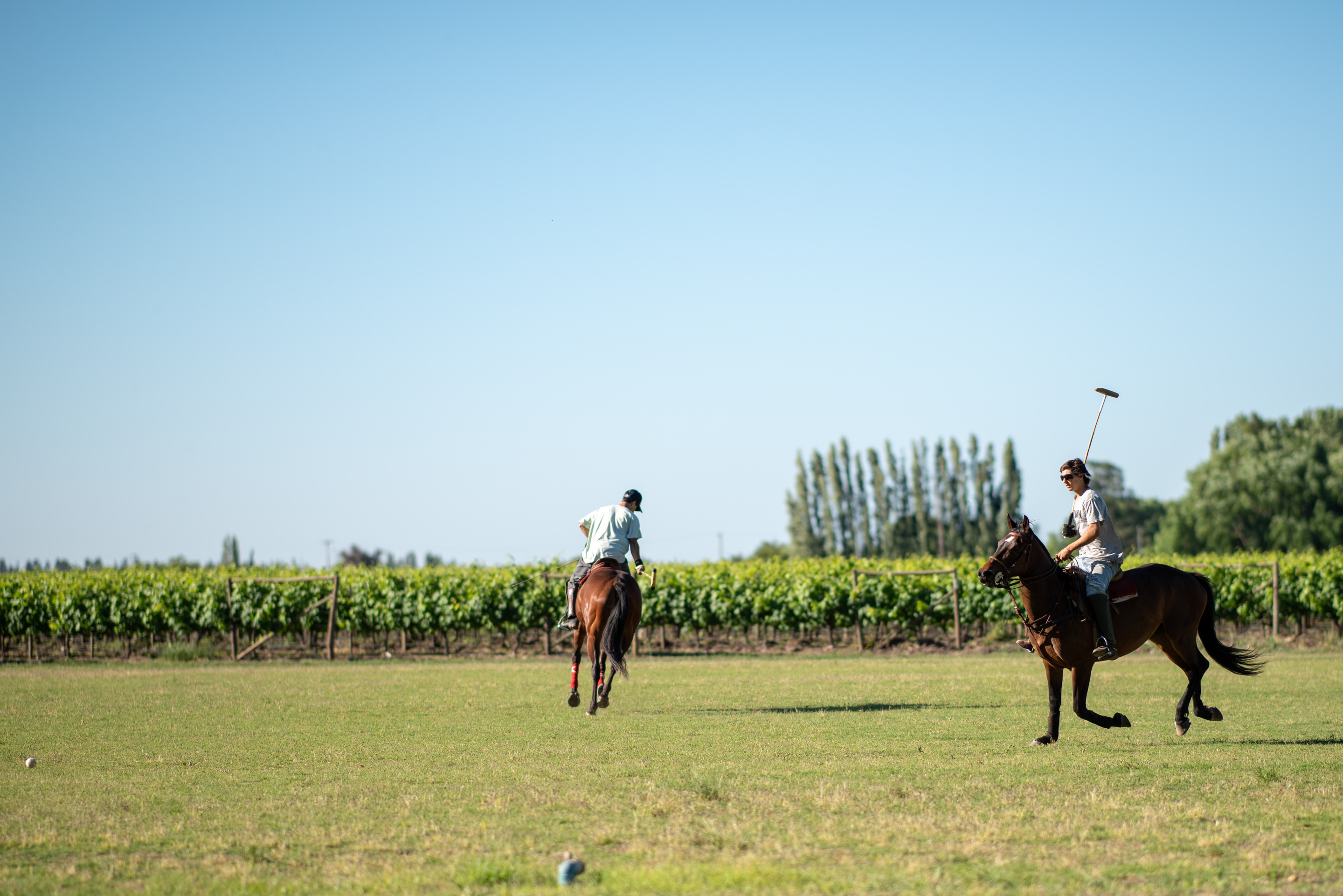 Vina Laura Hartwig Polo Field