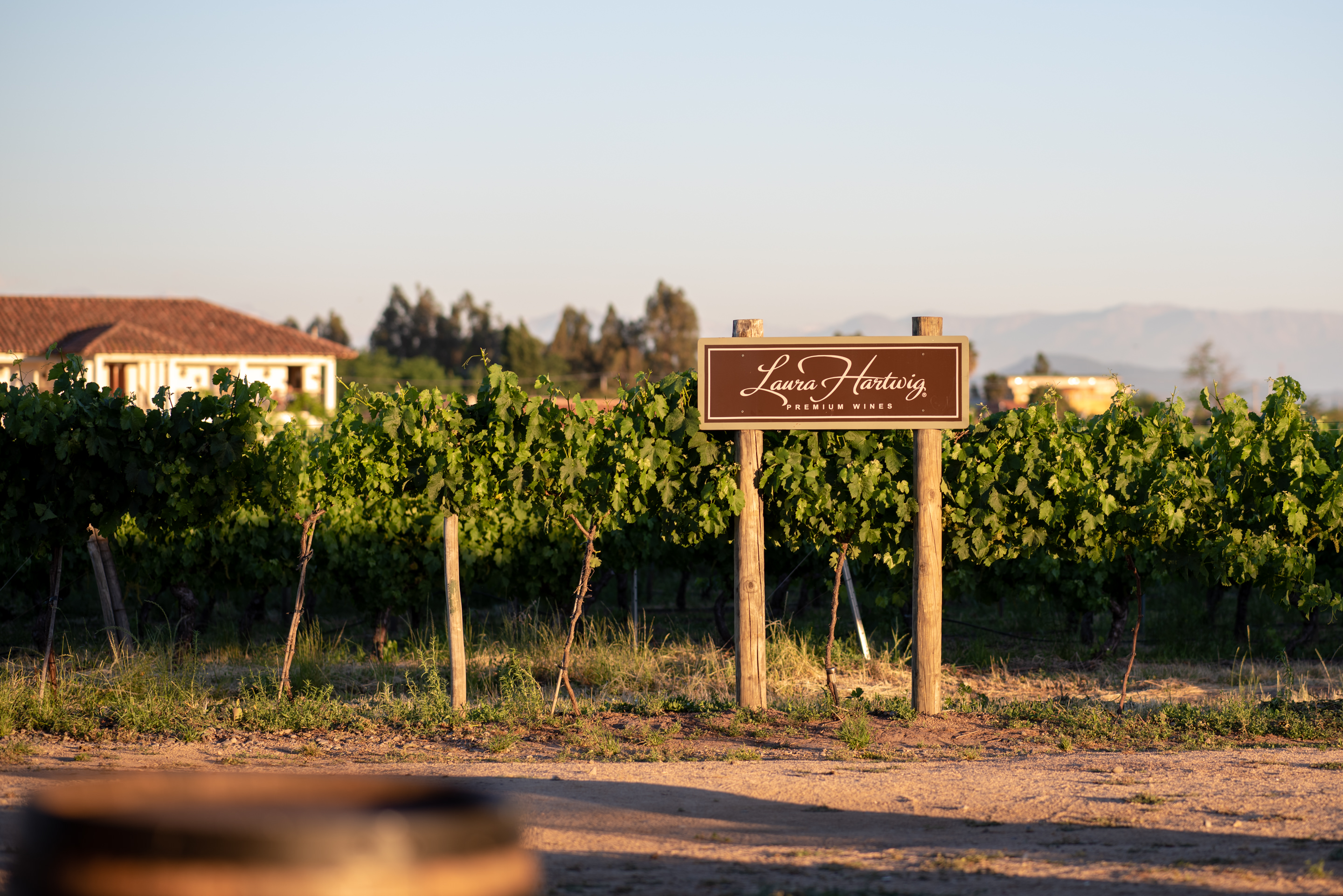 Vina Laura Hartwig Colchagua Valley Chile