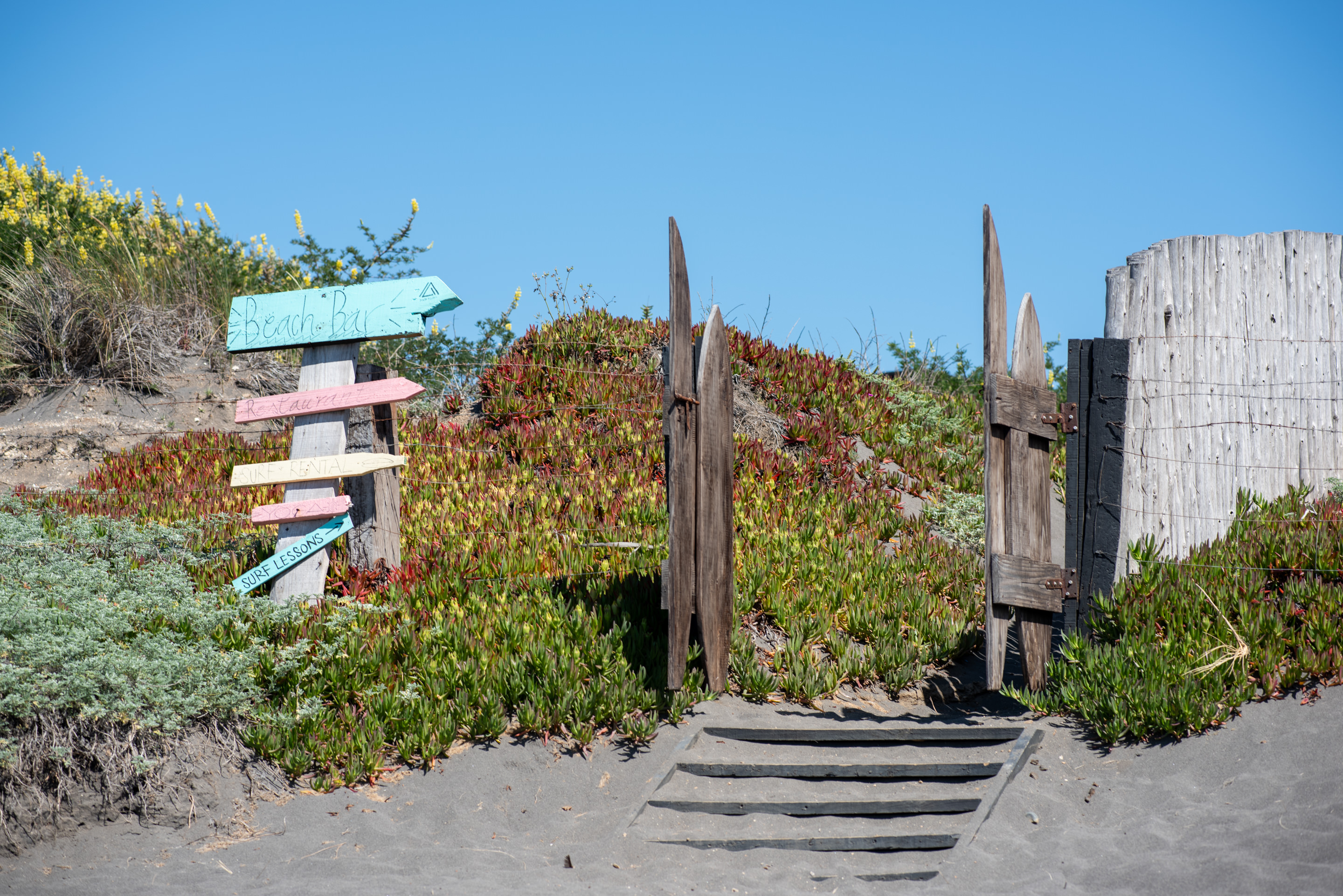 punta de lobos surf school