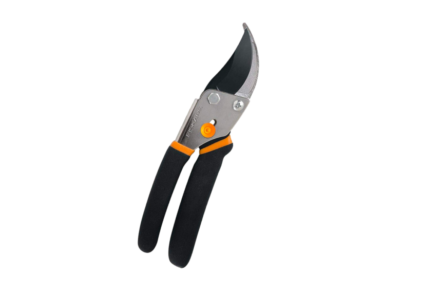 Pruning Shears