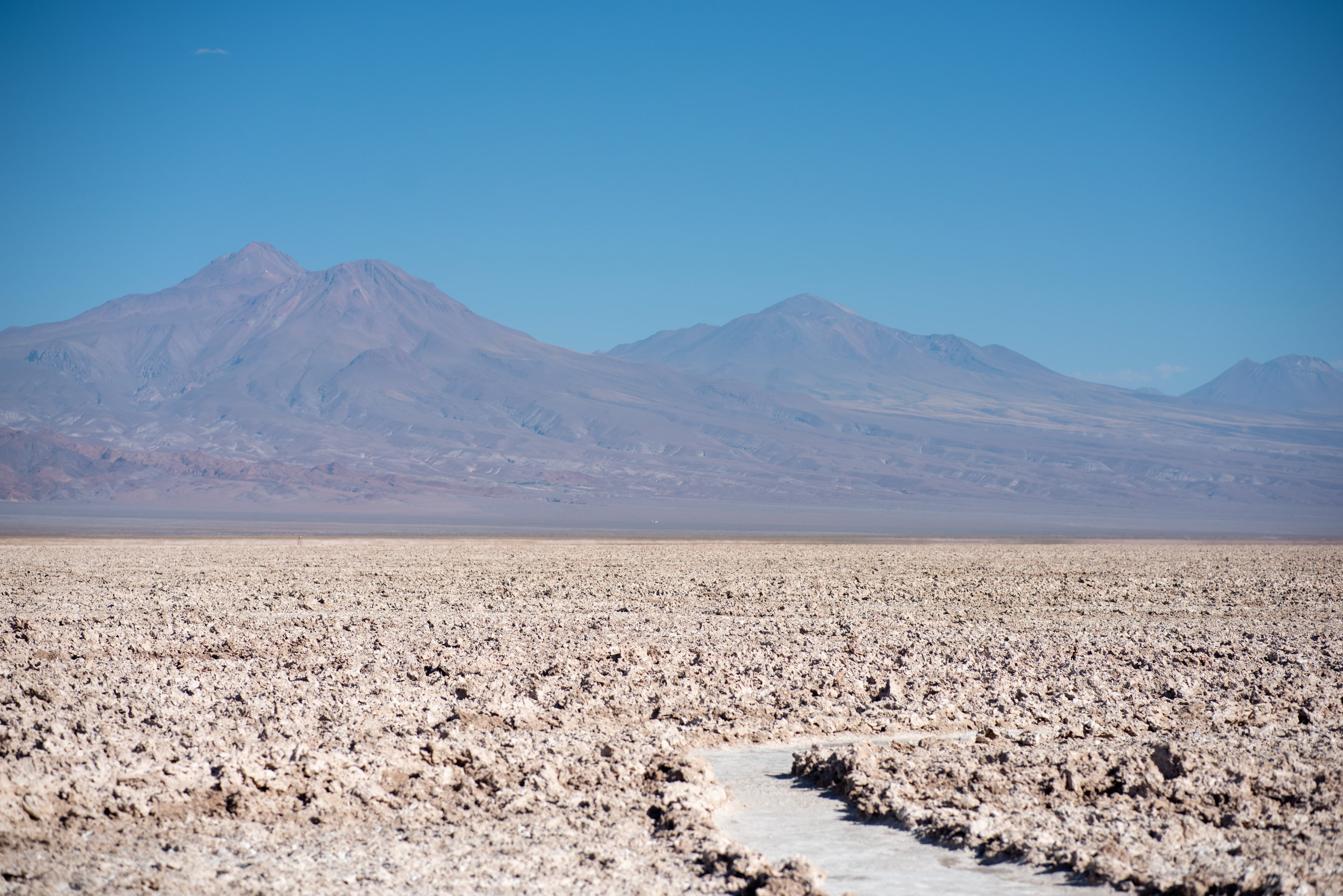 chaxa lagoon atacama chile