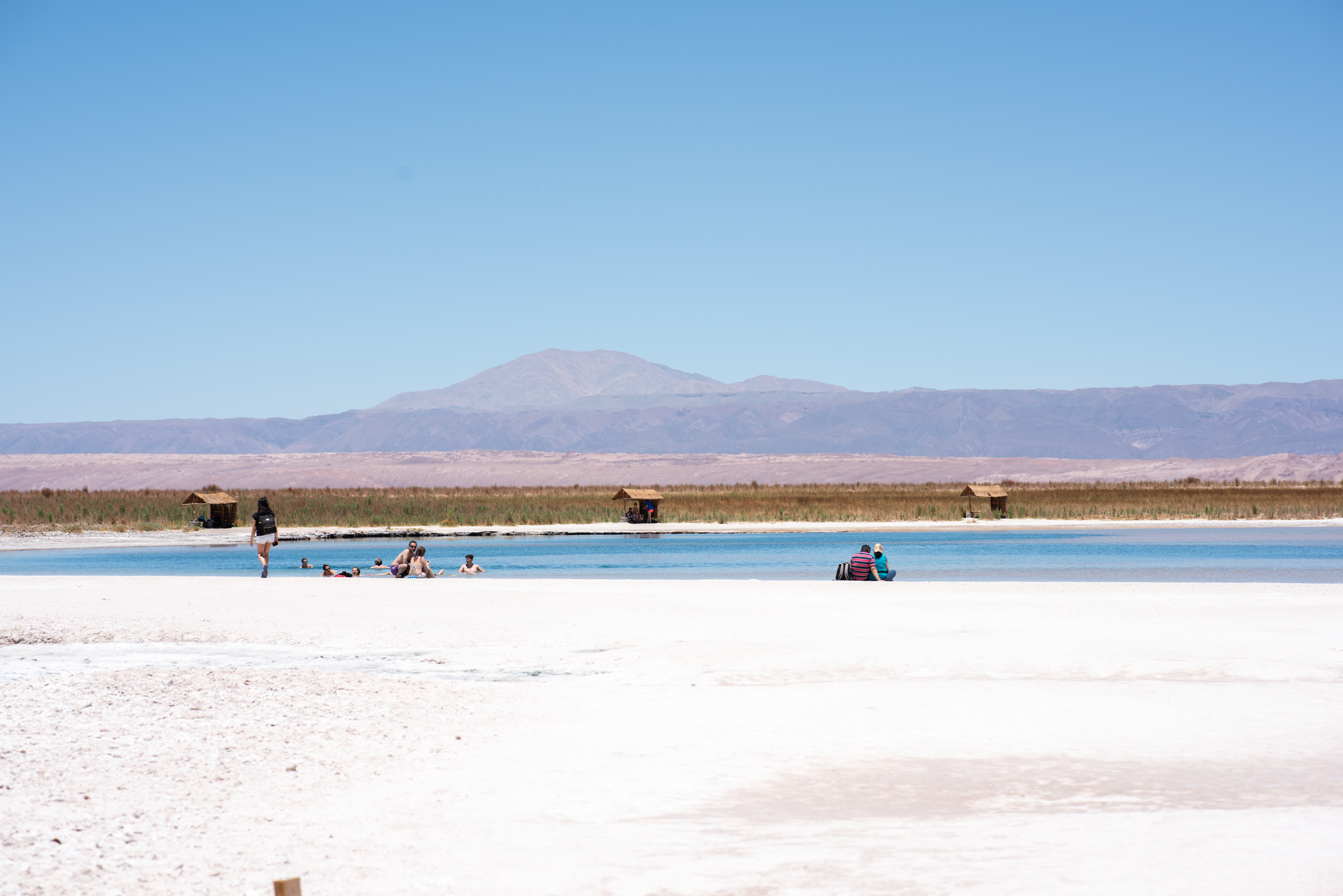 cejar lagoon atacama desert