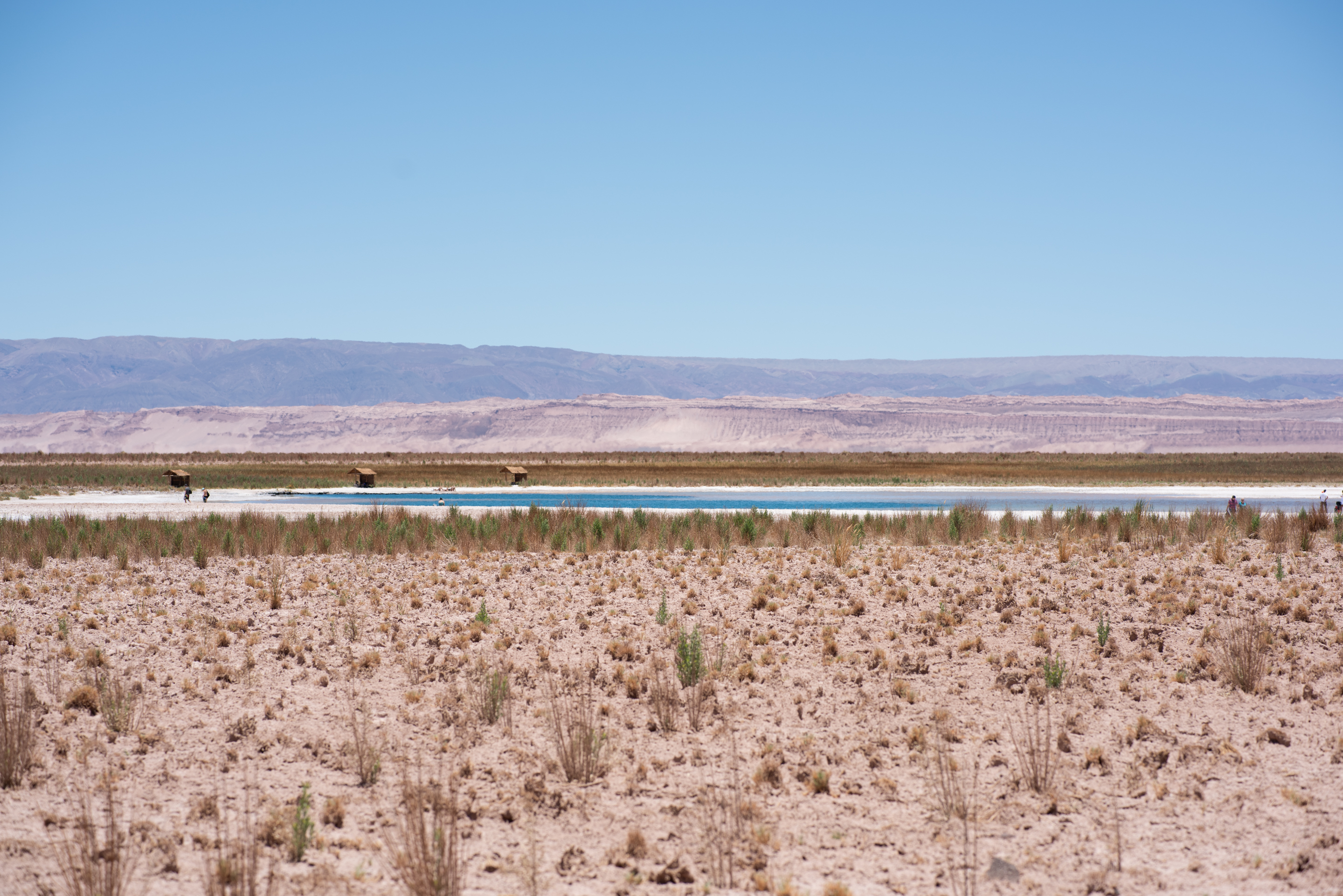 cejar lagoon atacama desert