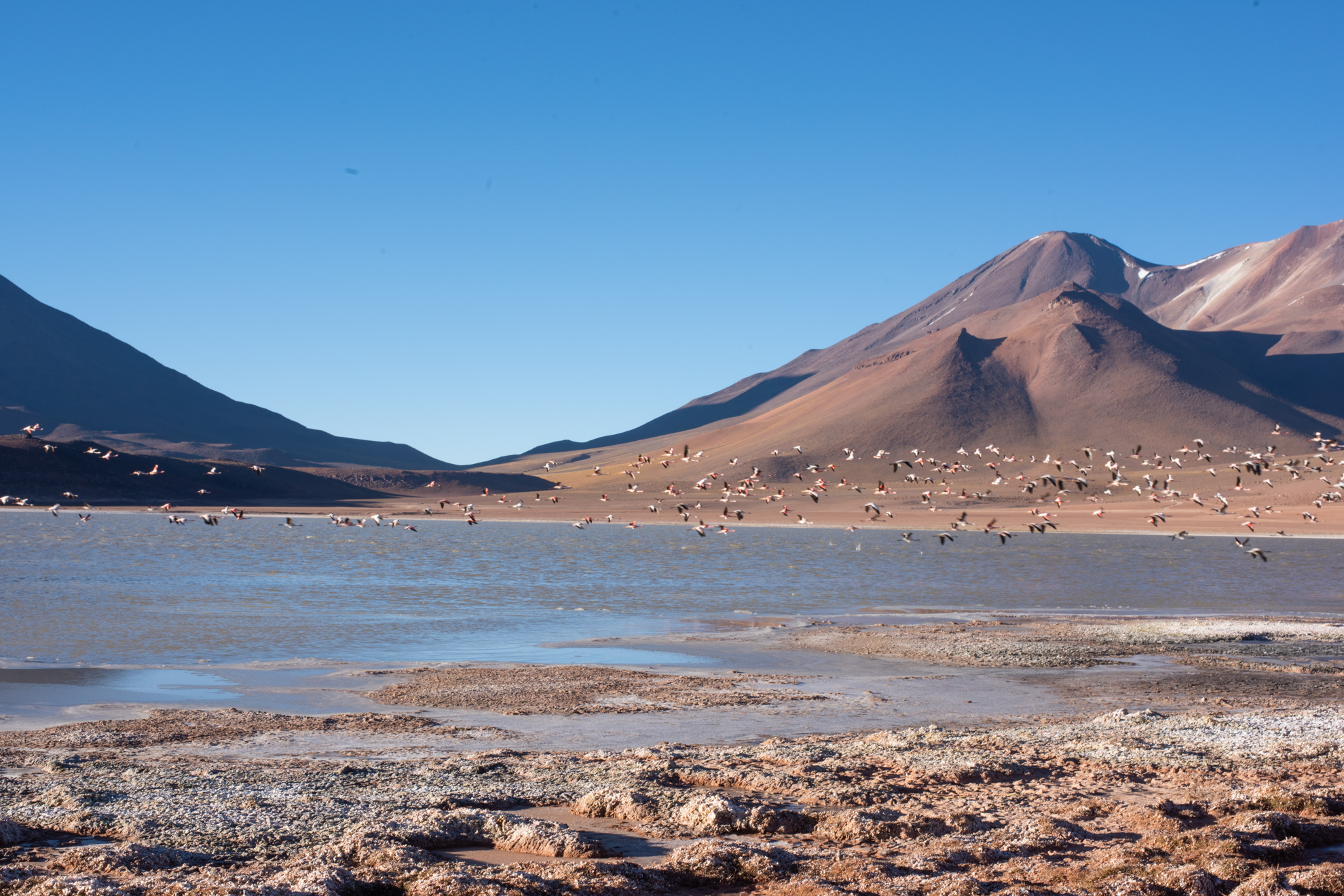 lascar volcano vulcan lascar atacama desert