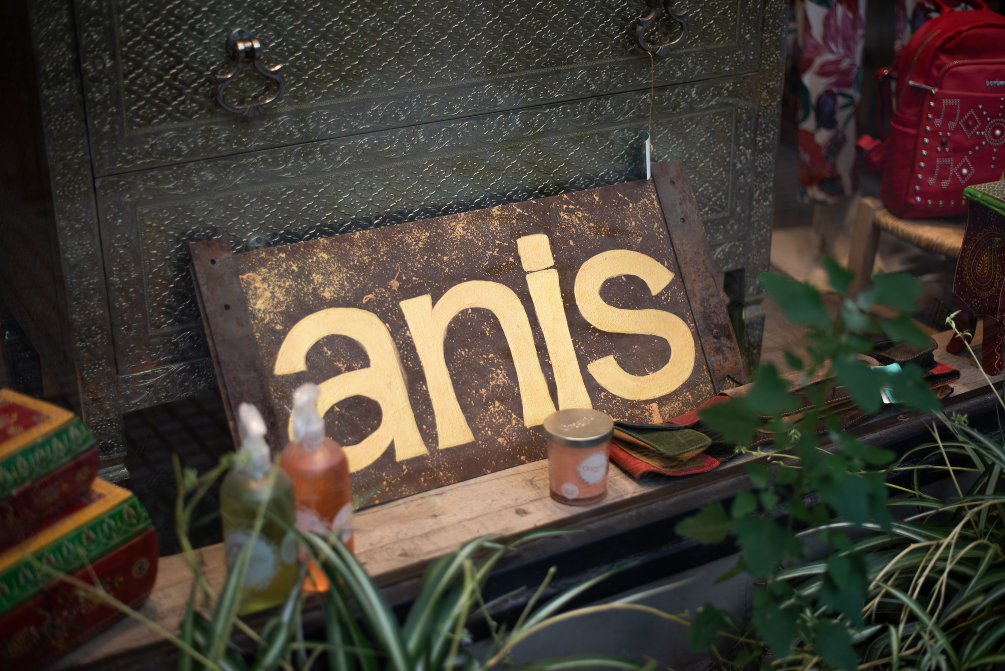 anis palermo buenos aires shopping